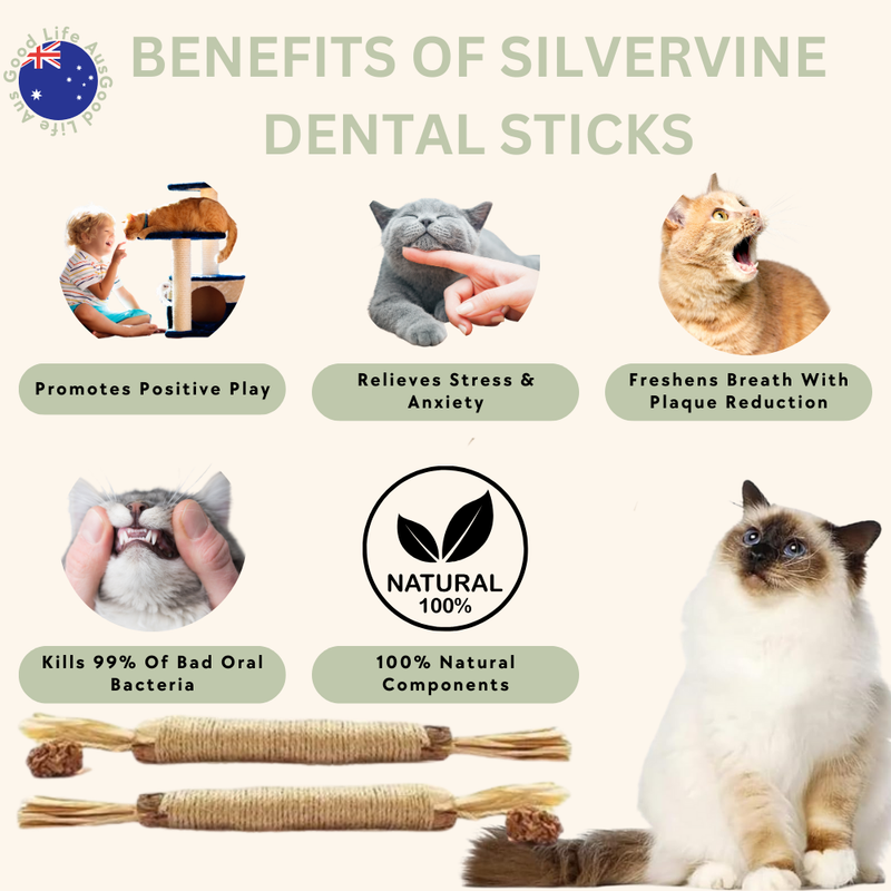 PurrPearl Silvervine Dental Sticks